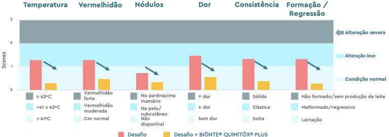 Figura 3. Observações clínicas das glândulas mamárias em porcas primíparas.